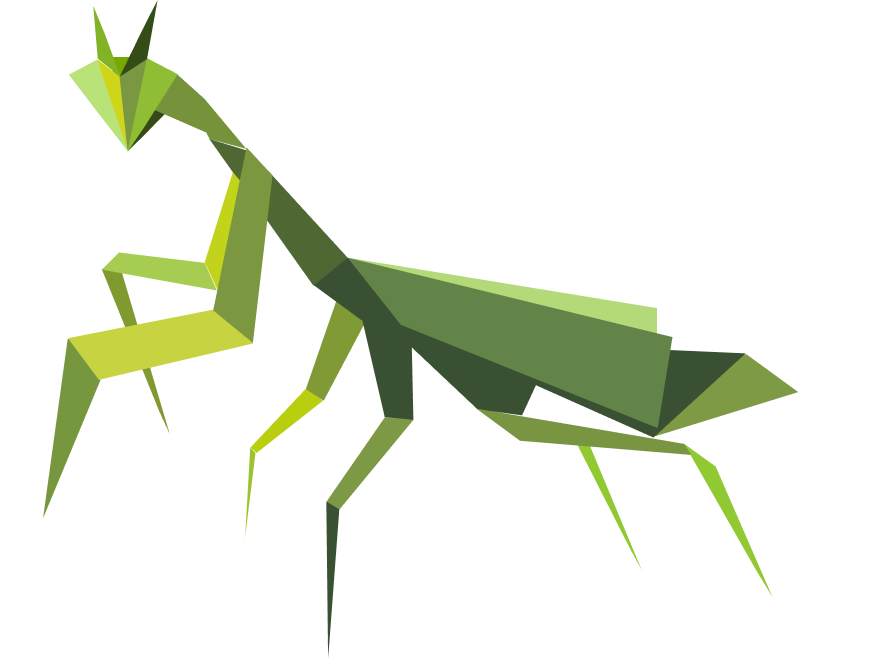 mantis illustration